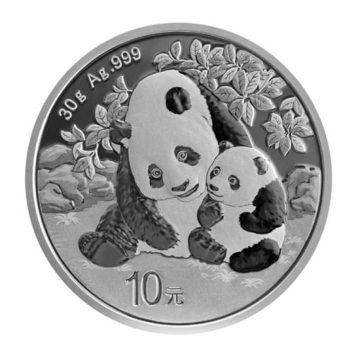 2024 (New) Chinese Panda 30 gram Silver Coin