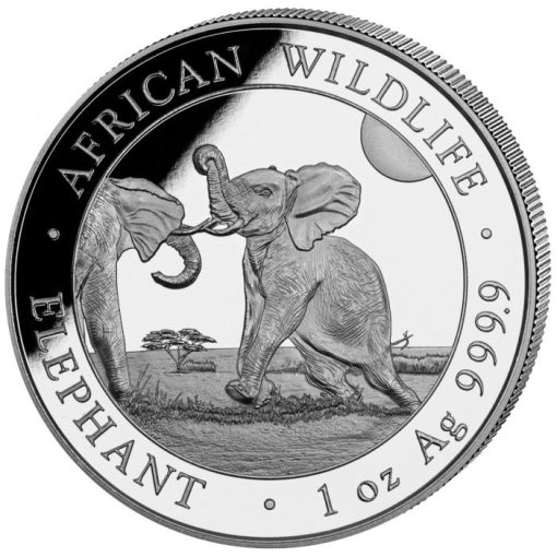 2024 (New) Africa Somalia Elephant 1 oz Silver Coin