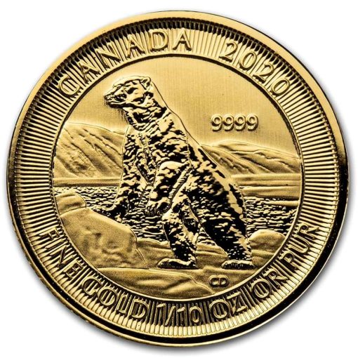 2020 (New) Canadian Polar Bear Gold 24K 1/10 oz Gold Coin