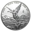 2006 Silver