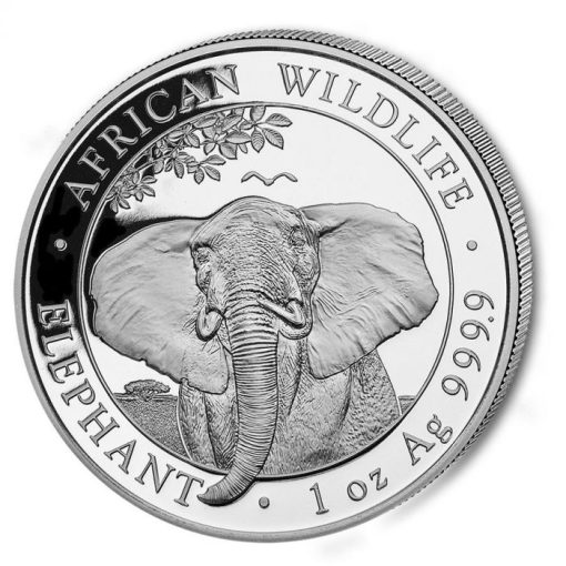 2021 (New) Africa Somalia Elephant 1 oz Silver Coin