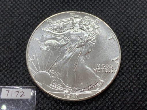 1987 (New) American Eagle Walking Liberty Silver 1 oz Coin #7172