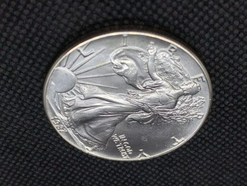 1987 (New) American Eagle Walking Liberty Silver 1 oz Coin #7172 - Image 5