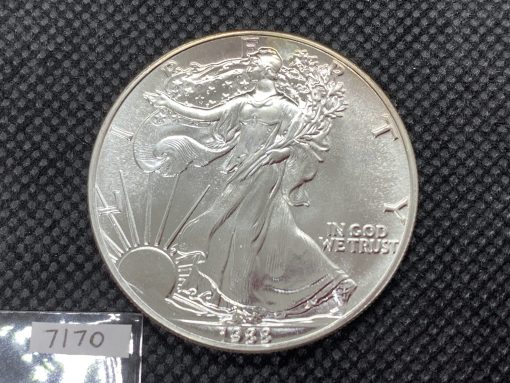 1988 (New) American Eagle Walking Liberty Silver 1 oz Coin #7170