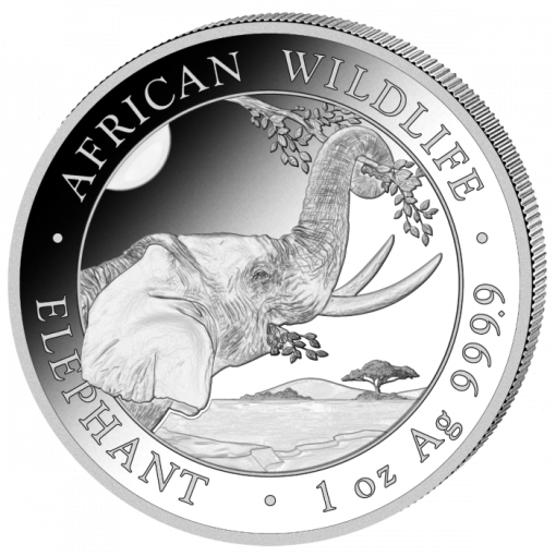 2023 (New) Africa Somalia Elephant 1 oz Silver Coin