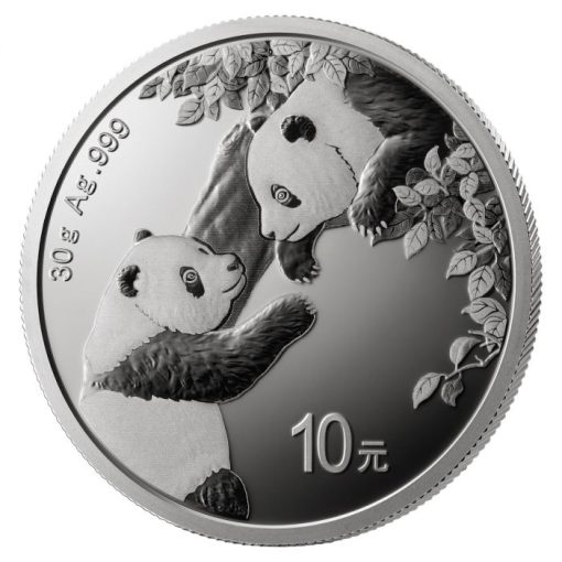 2023 (New) Chinese Panda 30 gram Silver Coin