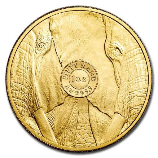 【3 Day Ship】2024 (New) South Africa Big Five Elephant Gold 1 oz Coin - Image 2