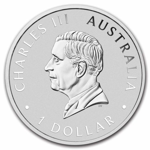 2024 (New) Australian Swan Silver 1 oz Coin - Image 2