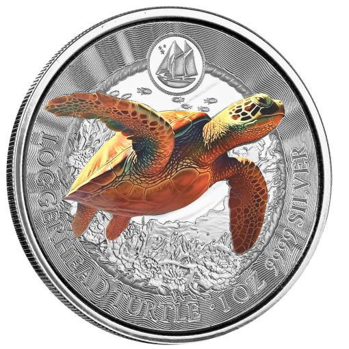 2023 (New) Cayman Islands Loggerhead Turtle Silver 1 oz Color Proof Coin - Image 3