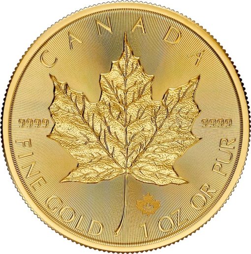 【3 Day Ship】2025 (New) Canadian Maple Leaf Gold 1 oz Coin