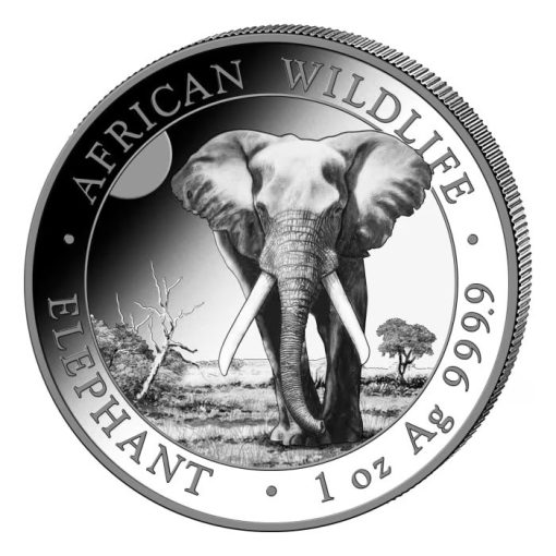 2025 (New) Africa Somalia Elephant 1 oz Silver Coin