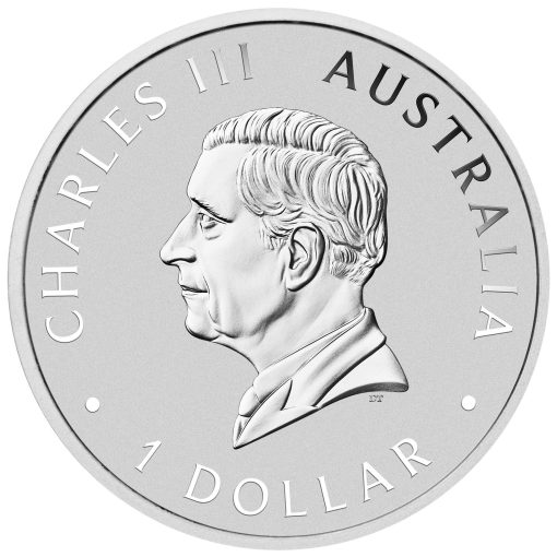 2024 (New) Australian Wombat Silver 1 oz Coin - Image 2