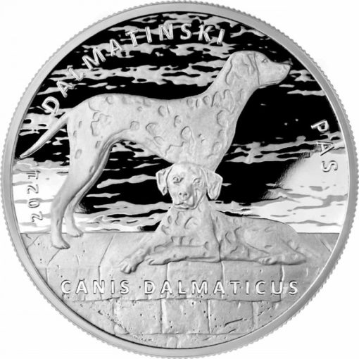 2021 (New) Croatia Dalmatian Silver 1 oz Coin - Image 2